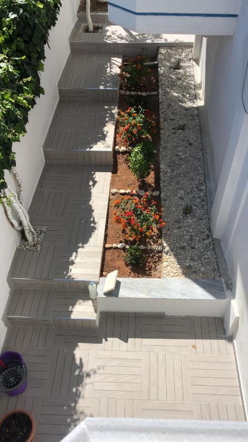 Hotel Vila Ali 卡萨米尔 外观 照片