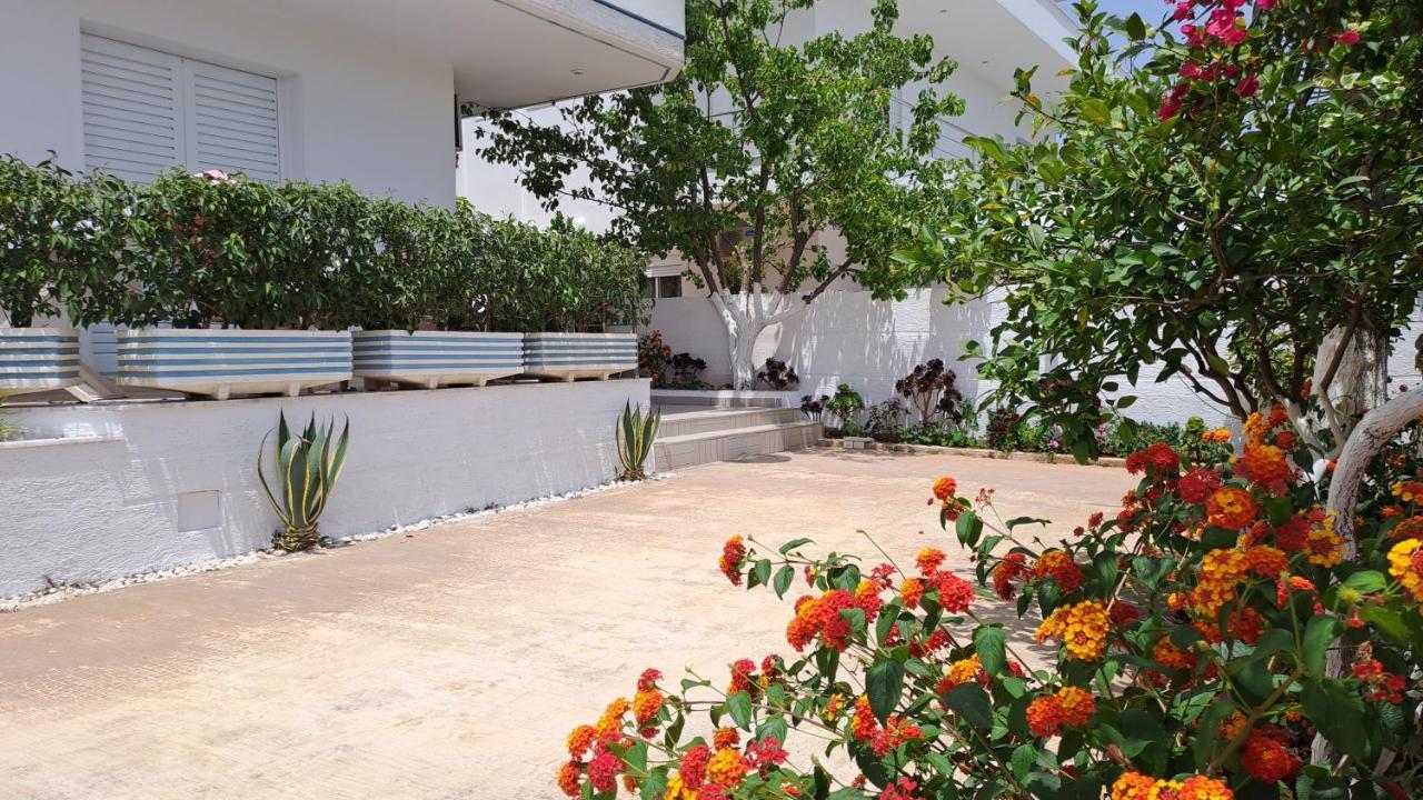 Hotel Vila Ali 卡萨米尔 外观 照片