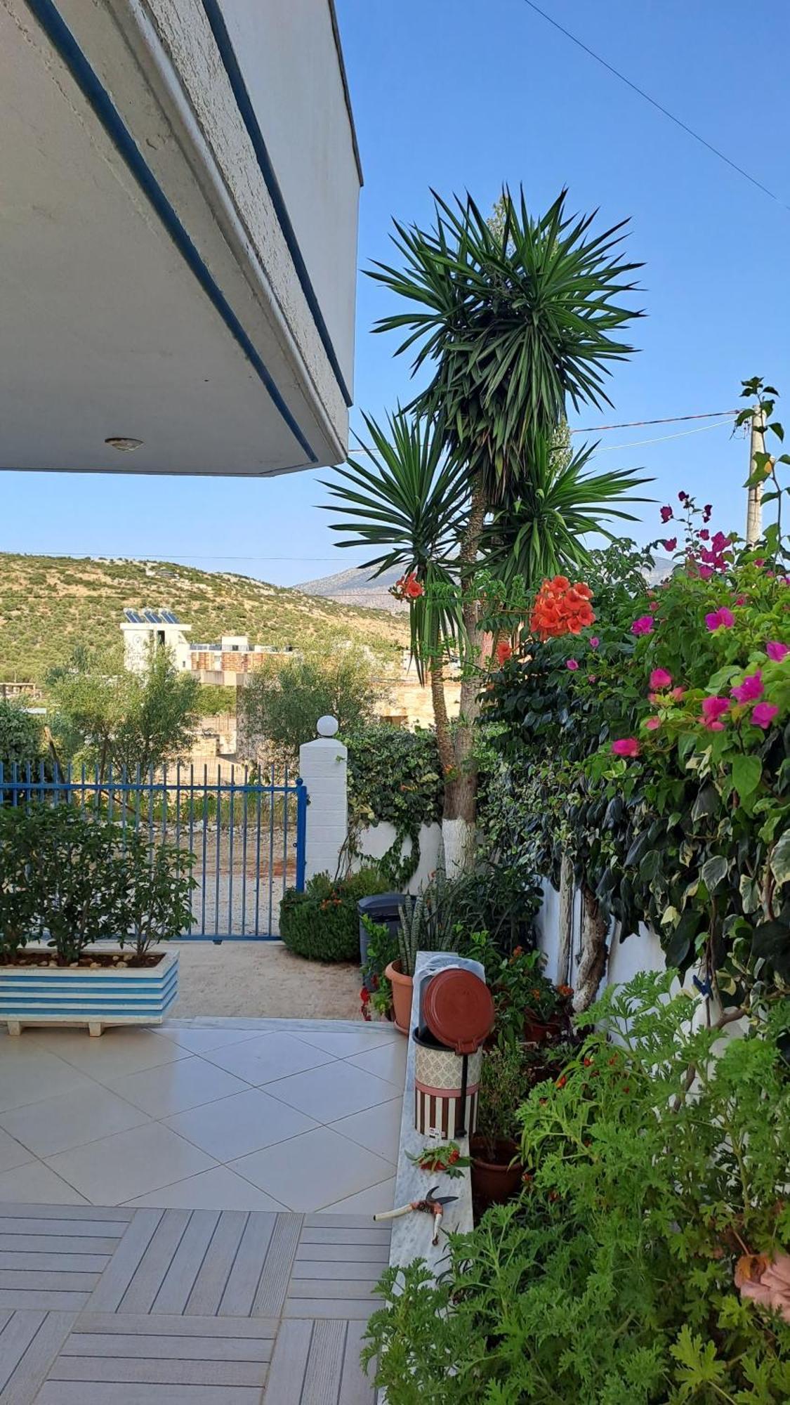 Hotel Vila Ali 卡萨米尔 外观 照片